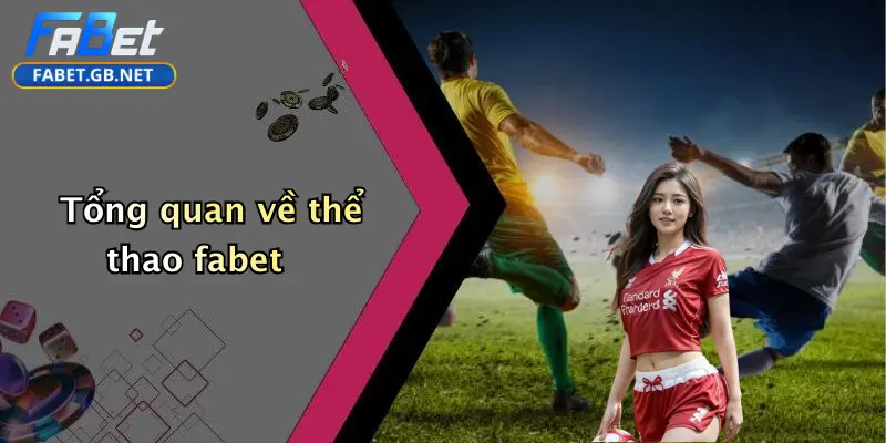 Tổng quan về thể thao fabet